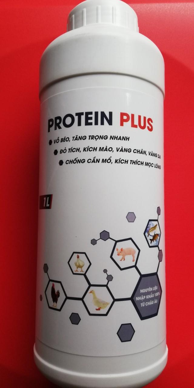 1 LÍT PROTEIN PLUS Vỗ béo, tăng trọng nhanh, đỏ tích, kích mào, vàng chân, vàng da, chống cắn mổ, kích thích mọc lông.