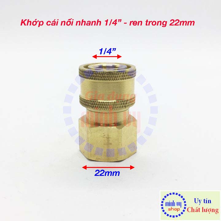 Khớp cái nối nhanh 1/4" ren trong 22mm