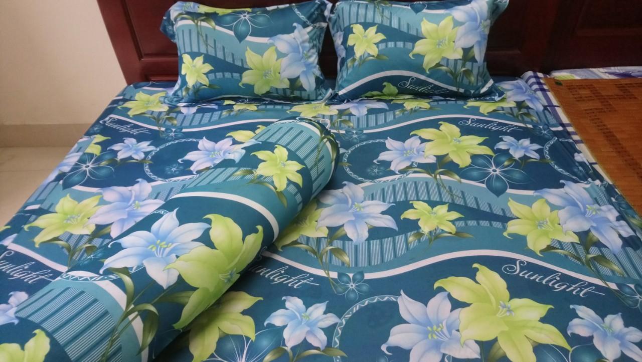 Bộ ga thun lạnh Hàn Quốc cao cấp 1m6 x 2m