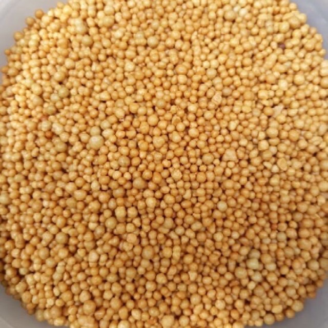 [HCM]Phân Vàng Tan Chậm (Gói 100G)