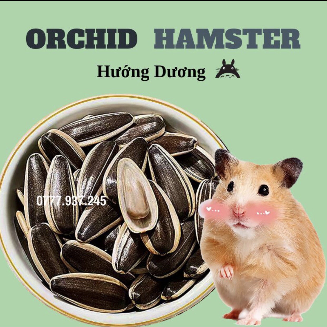 Hướng Dưỡng Dành Cho Hamster