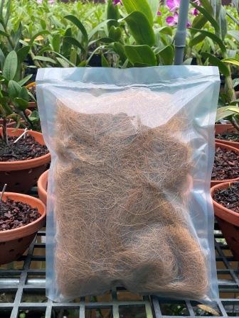 Sợi chỉ dừa trồng cây giống hoa lan Dendro