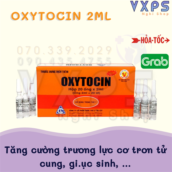 Dung dịch oxytocin kích chó mèo đẻ - ống 2ml