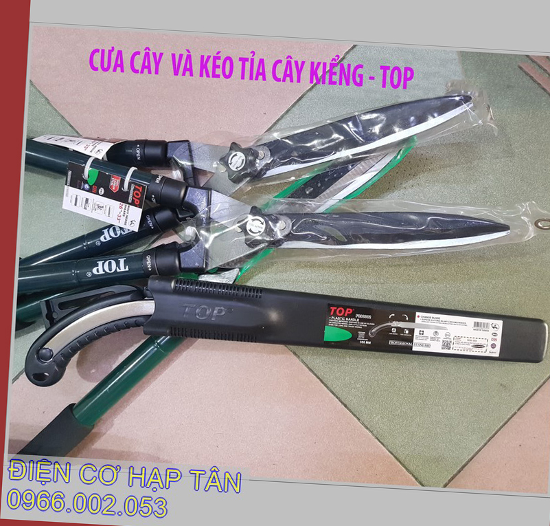 Cưa cắt cành top và kéo tỉa cây kiểng top