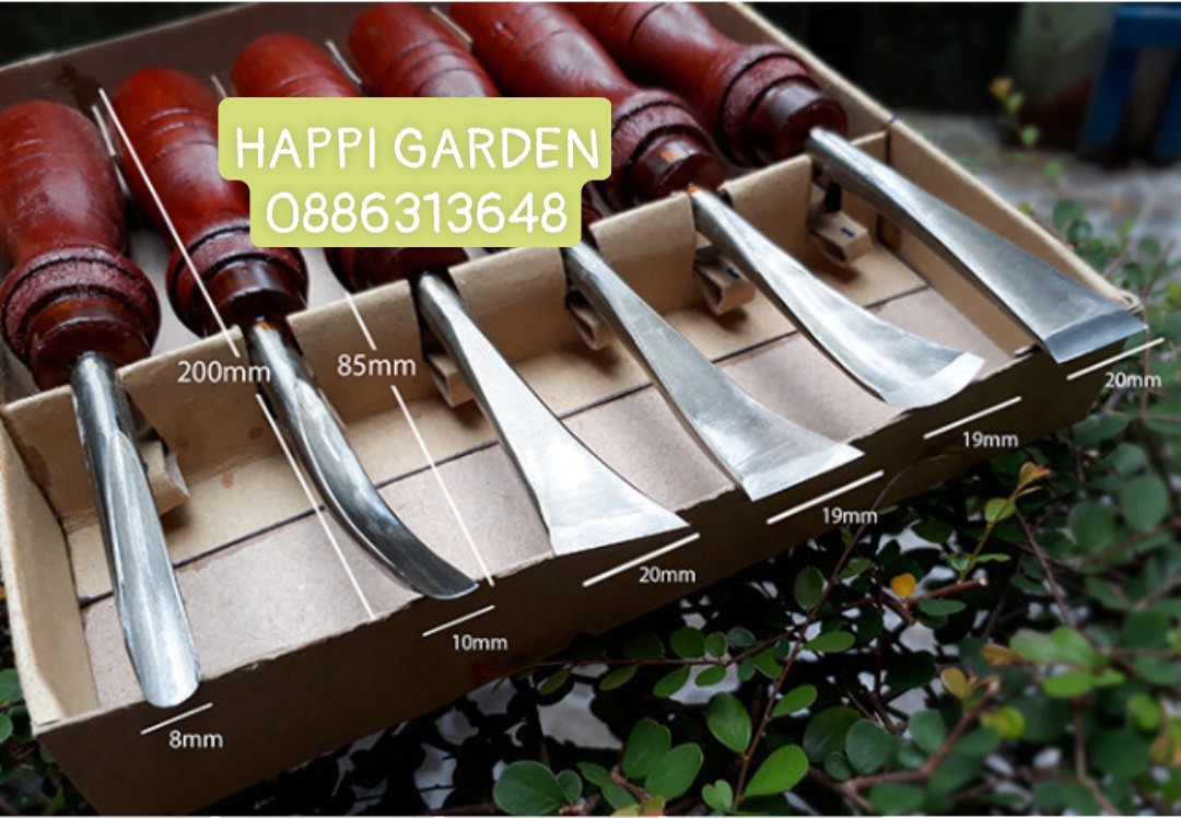 Bộ đục bonsai 6 cây