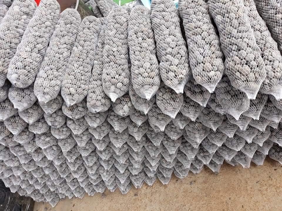 Phân dê đựng trong túi lưới trồng lan đã qua xử lí size 10 cm, 20 cm, 30 cm