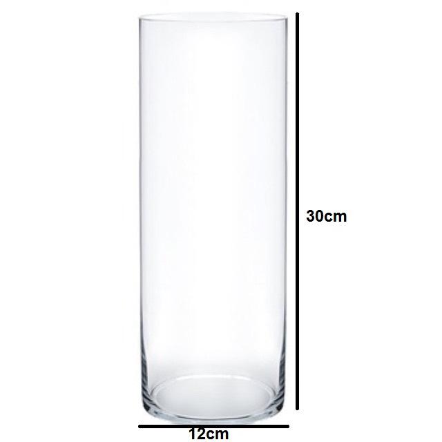 Bể cá mini , chậu thủy tinh trụ tròn 12x30cm