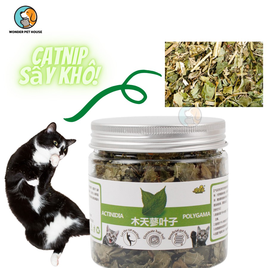 Hộp catnip cỏ mèo sấy khô - lá lớn không nhuyễn