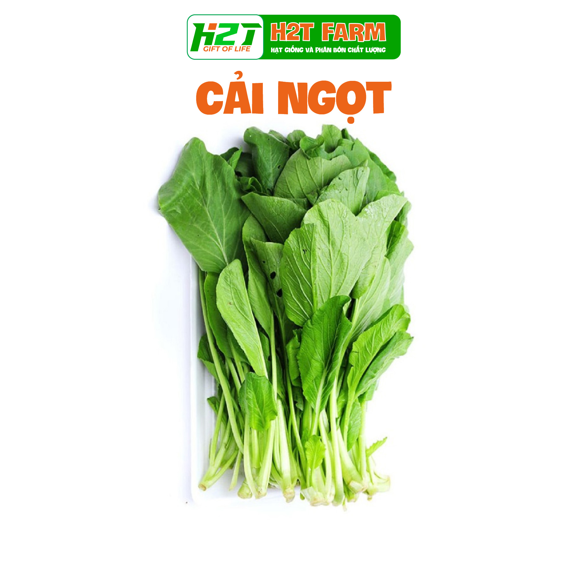 Hạt Giống Rau Cải Ngọt Cao Sản Hóa Nông Ngon Ngọt Dễ Trồng