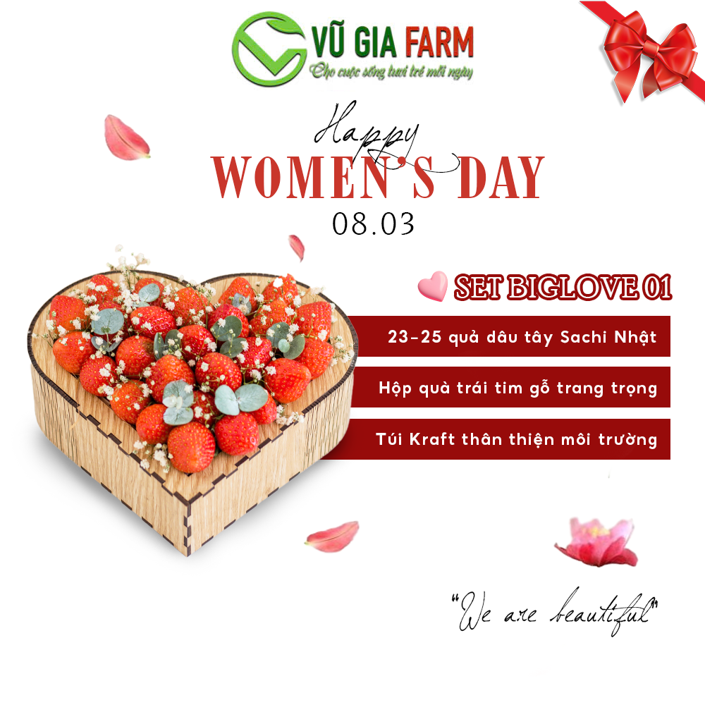 [QUÀ TẶNG] BigLove 01 Dâu Tây Đà Lạt Giống Nhật Sachi