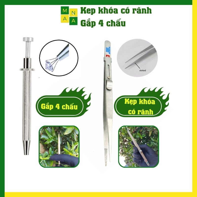 Nhíp gắp đá quý kẹp gắp đá có khóa chất liệu cao câp kẹp đá quý cao cấp MANA