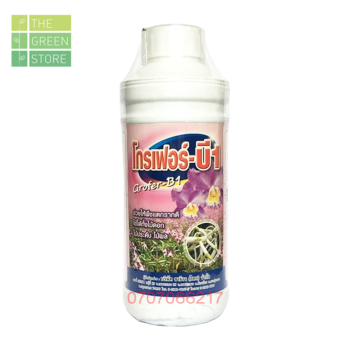 Phân bón vitamin B1 Thái Grofer (1 lit) cho hoa lan - kích ra rễ, đâm chồi, dưỡng cây cho mọi giai đoạn