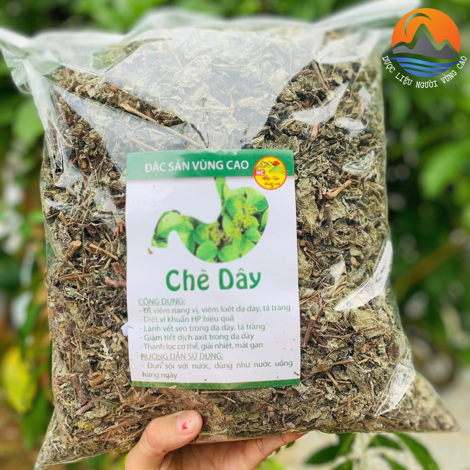 Chè dây Cao Bằng chữa đau dạ dày loại 1 - Thượng Hạng , Thảo dược quý, trà dây leo rừng Sapa
