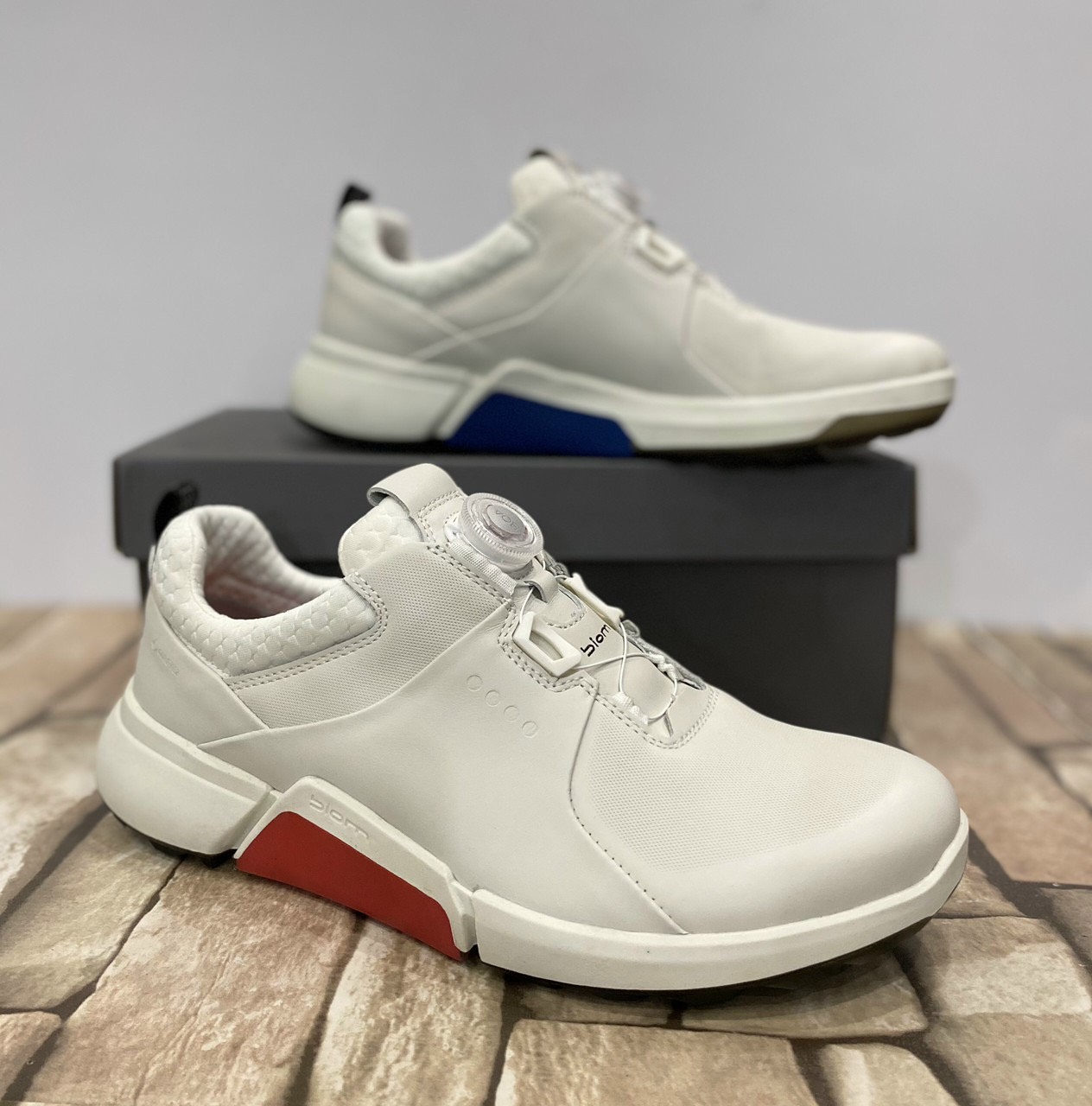 Giày golf nam ecco biom h4 boa