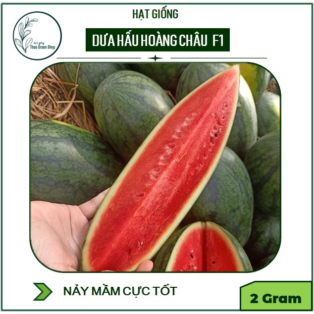 Hạt Giống Dưa Hấu Hoàng Châu F1 Siêu Ngọt Quả To Thái Lan