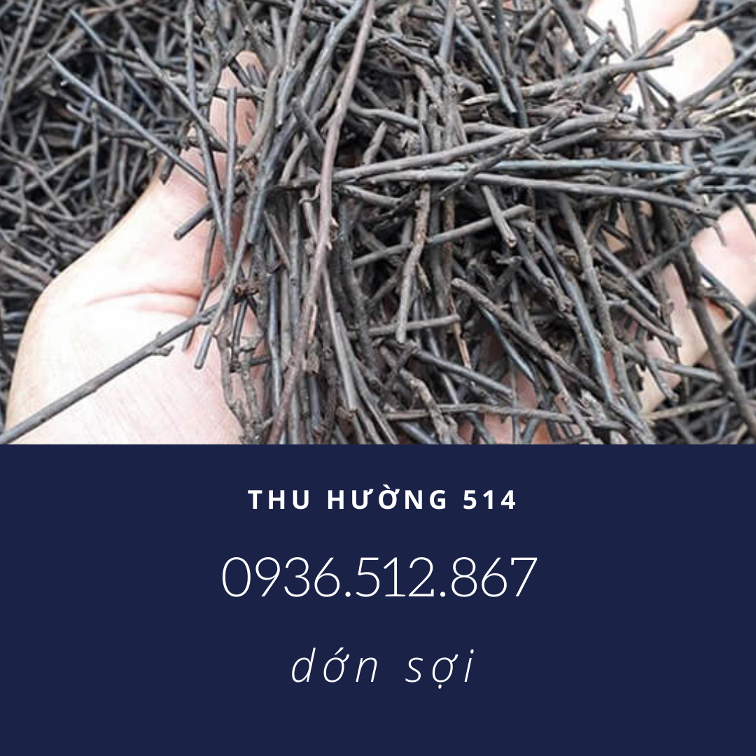 Dớn cọng-dớn sợi-giá thể trồng lan cực kỳ tốt
