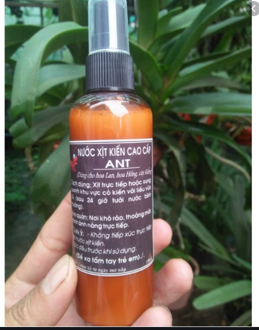Nước xịt kiến cho hoa lan, cây cảnh - ANT