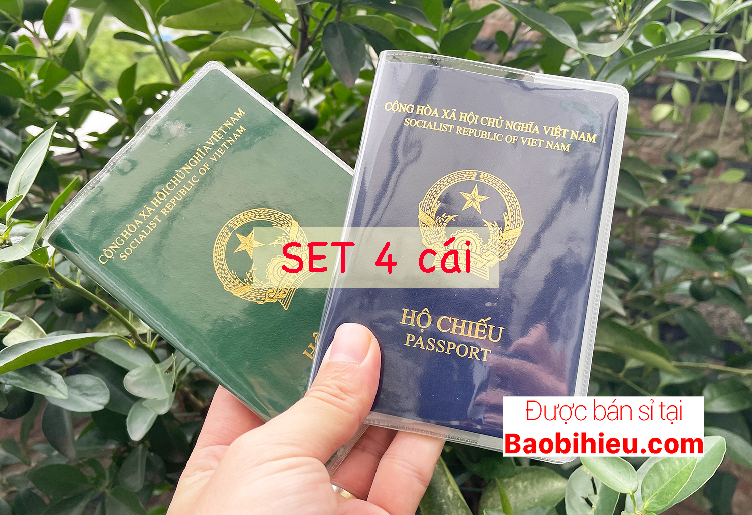 COMBO 4 cái vỏ bao hộ chiếu (passport) dẻo trong có khe đựng vé máy bay và các loại thẻ Joycee Vo 4B132