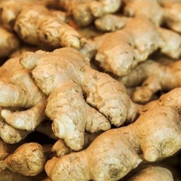củ gừng tươi 1kg