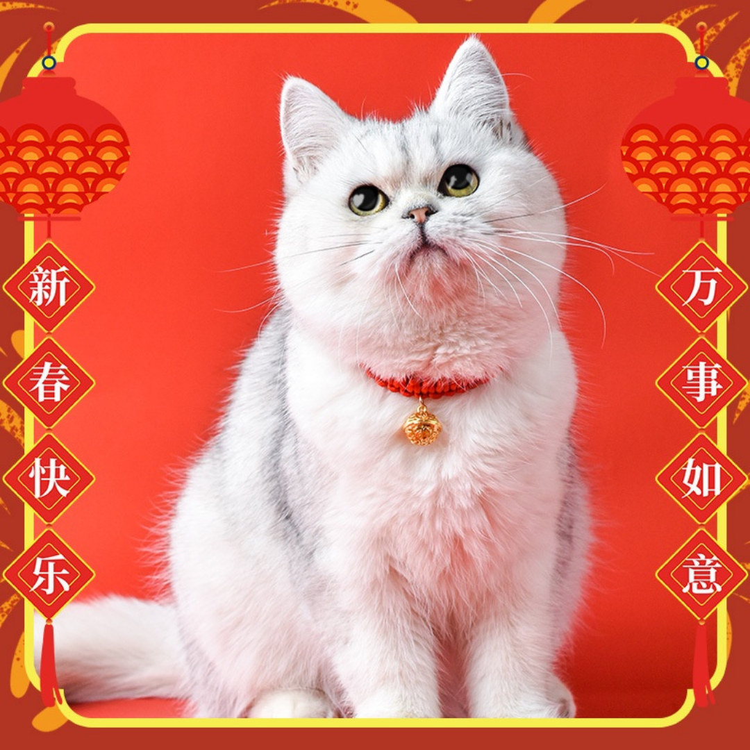 Vòng cổ chuông đỏ may mắn diện Tết dành cho thú cưng Yeupet.