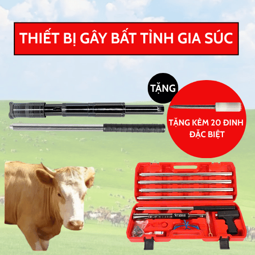Thiết bị chuyên dụng gây bất tỉnh gia súc - Stunning Tool