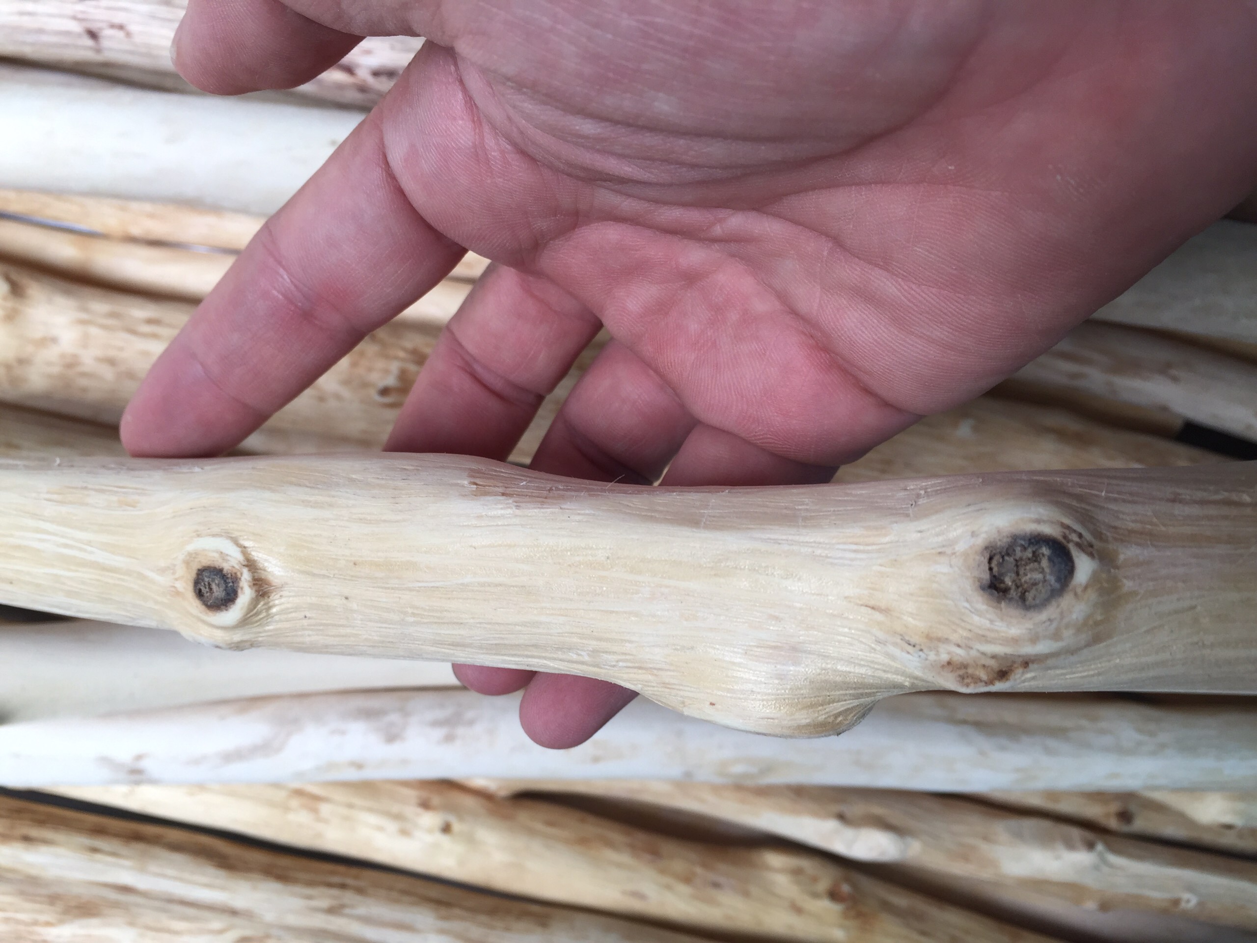 [HCM]CÀNH CÂY GỖ TỰ NHIÊN LÀM MACRAME-Chiều dài 45-50 cm