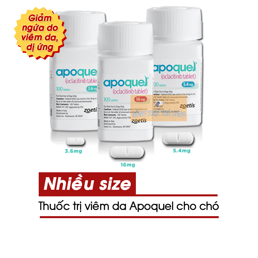 [Hủ 100 viên] Viên Apoquel Cho Chó (Zoetis USA) - Nhiều Size - [Nông Trại Thú Cưng]