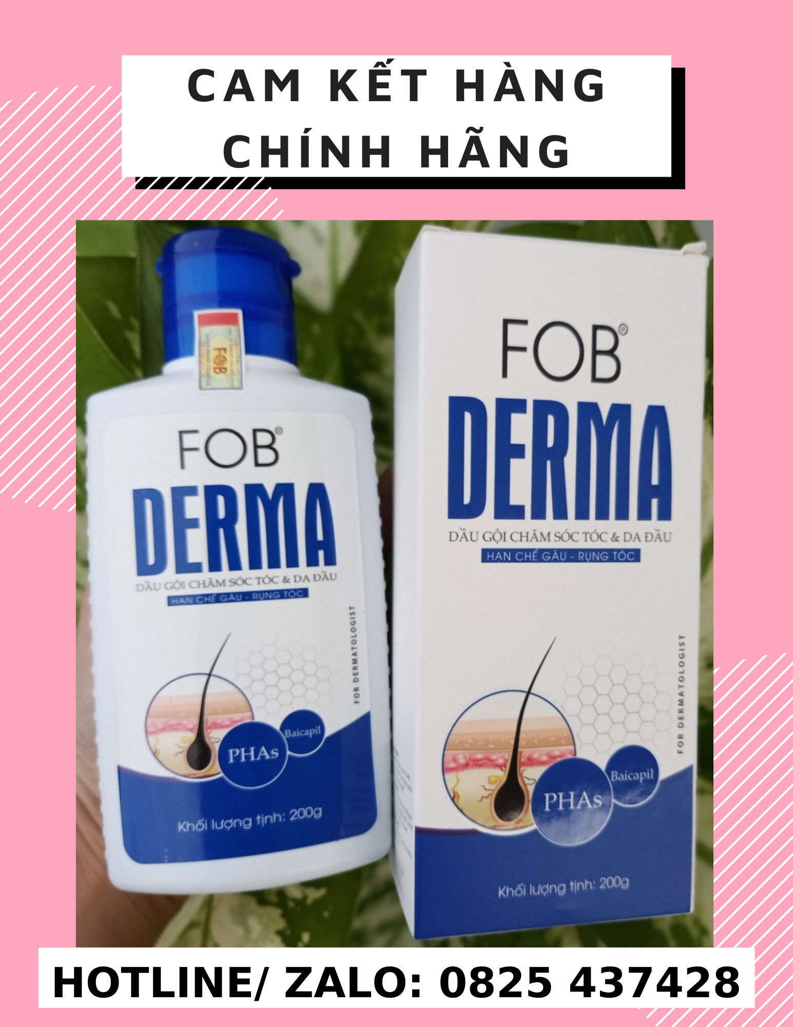 Dầu gội ngừa gàu, ngăn rụng tóc FOB Derma