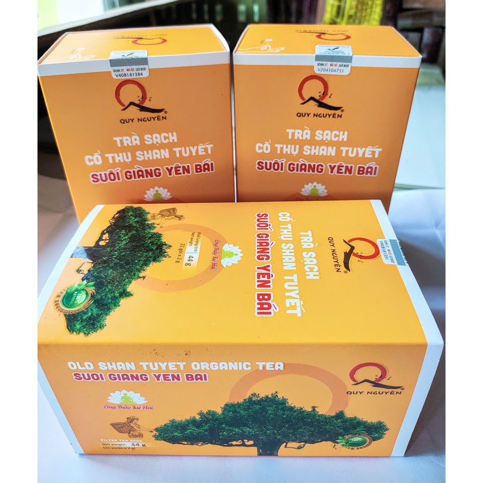 Trà bancha quy nguyên