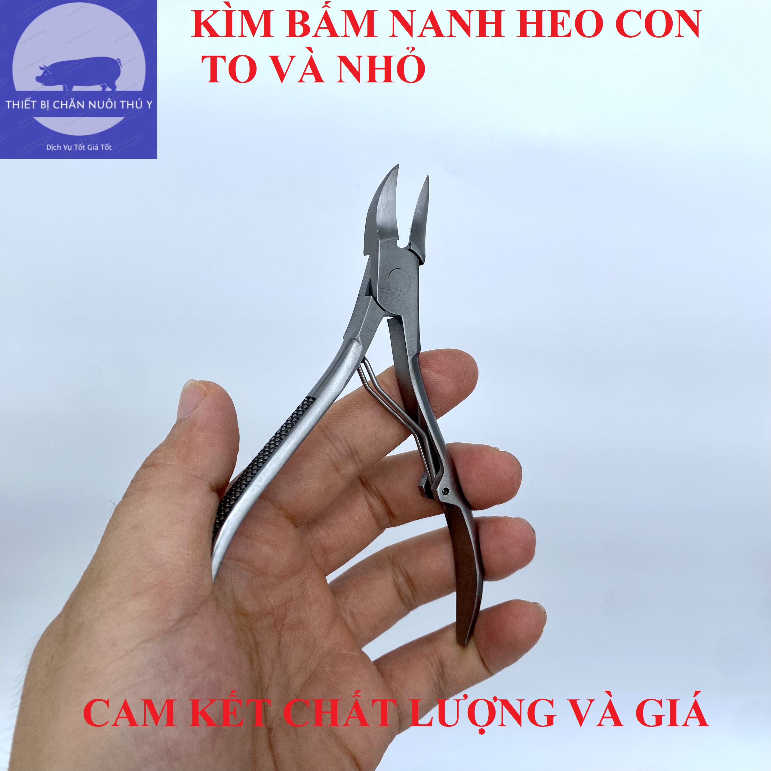 Kìm bấm nanh cho heo con, kìm cắt nanh lợn con, bằng thép không gỉ