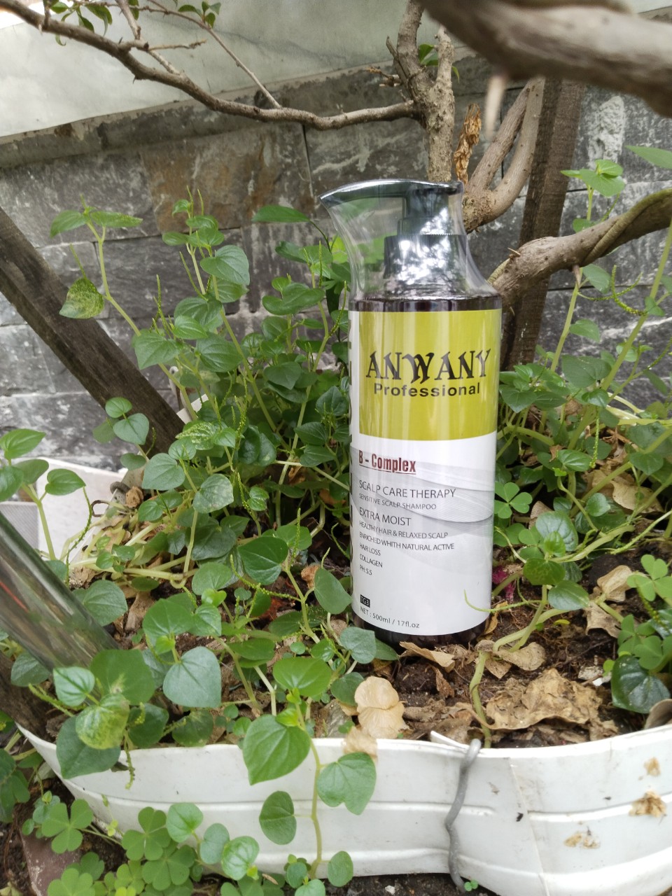 Dầu gội kích thích mọc tóc Anwany Collagen 500ml- tinh dầu bưởi