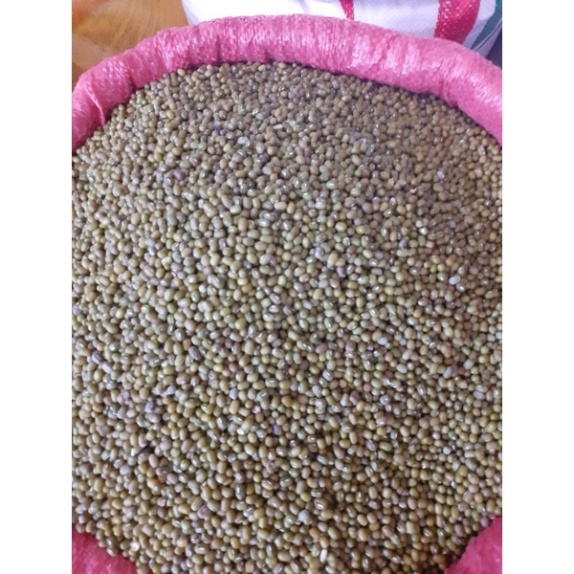 1kg Đậu Xanh/Đậu đen xanh lòng /Đậu đỏ hàng sạch mới