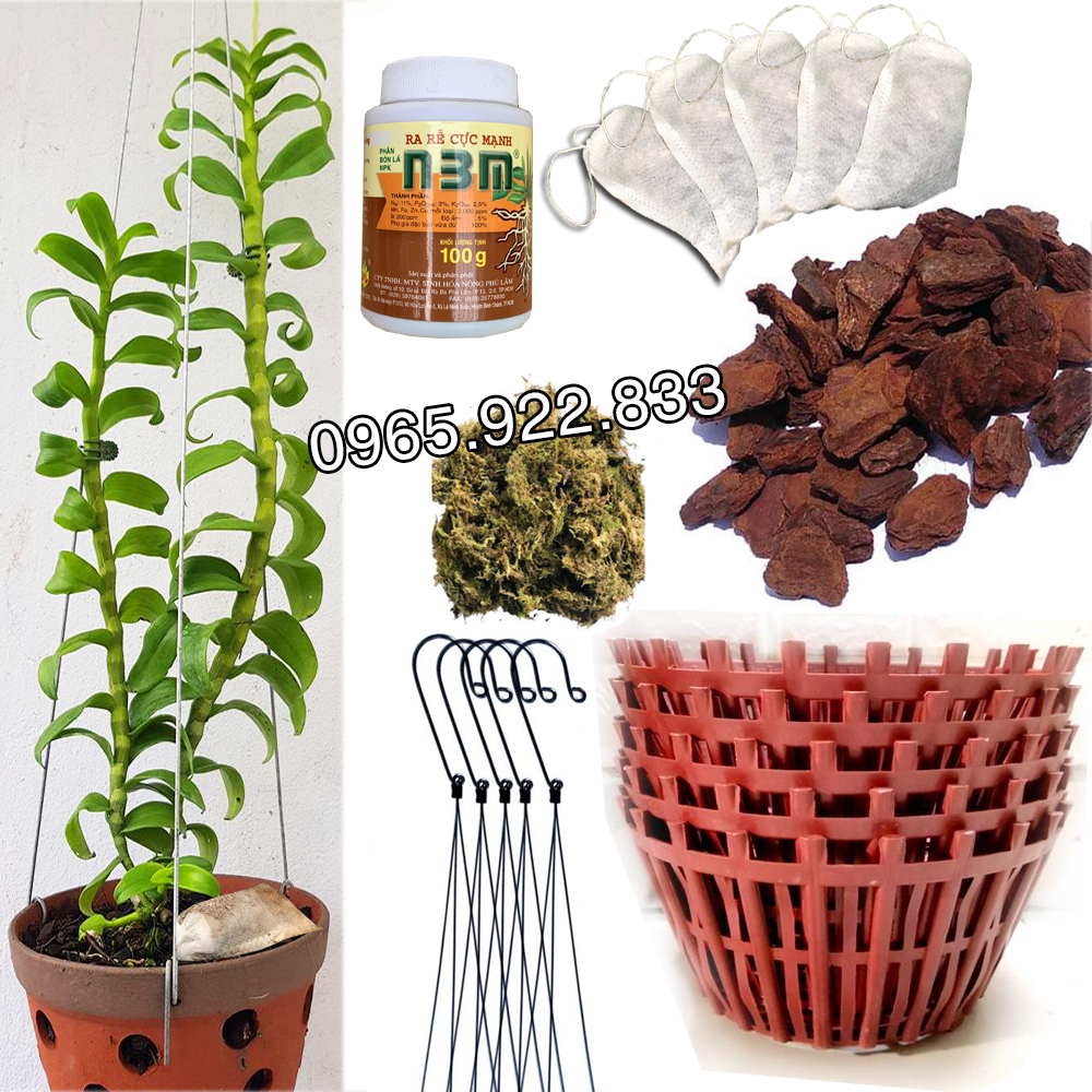 🎁 [FreeShip Max] Combo Trồng Lan cho người mới bắt đầu Chậu Phân Vỏ Thông Rêu Kích Rễ
