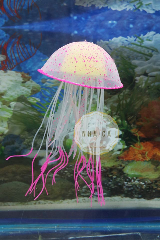 SỨA HOA DẠ QUANG SIZE LỚN - TRANG TRÍ HỒ CÁ - PHỤ KIỆN TRANG TRÍ HỒ CÁ BỂ THỦY SINH