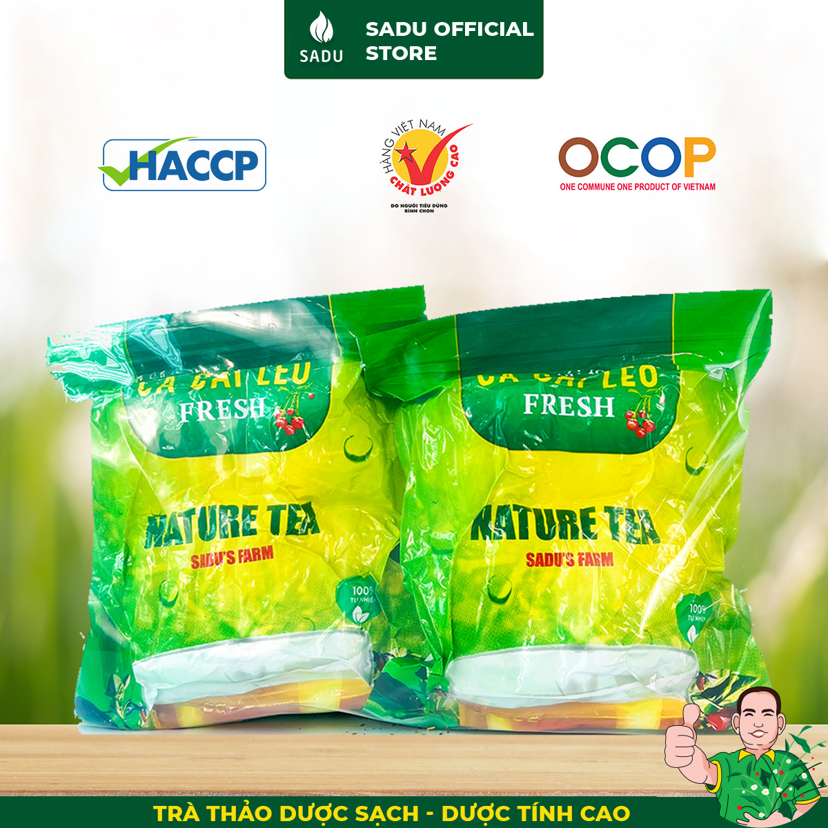 Trà cà gai leo Fresh