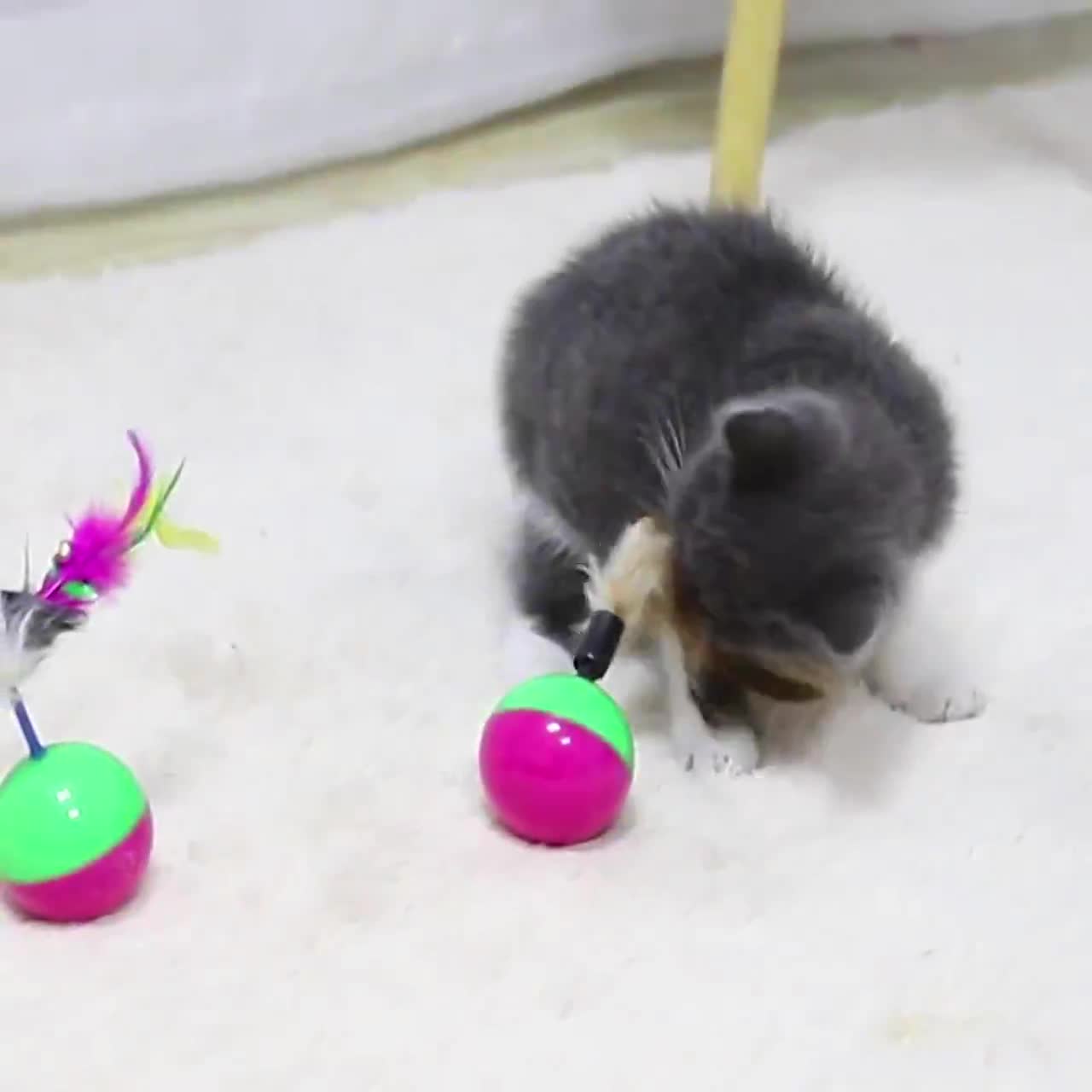 Lật đật chuột đồ chơi cho mèo