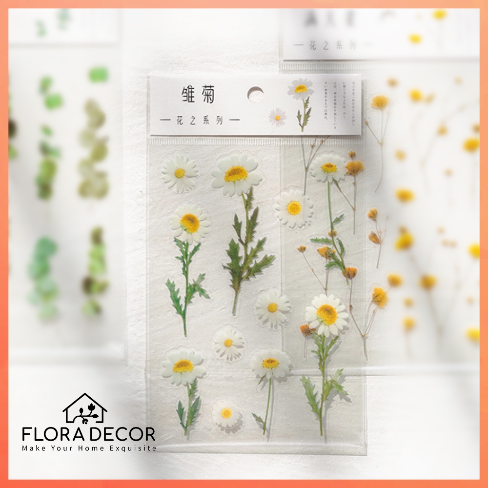Sticker hoa cúc họa mi trắng Flora decor trang trí sổ