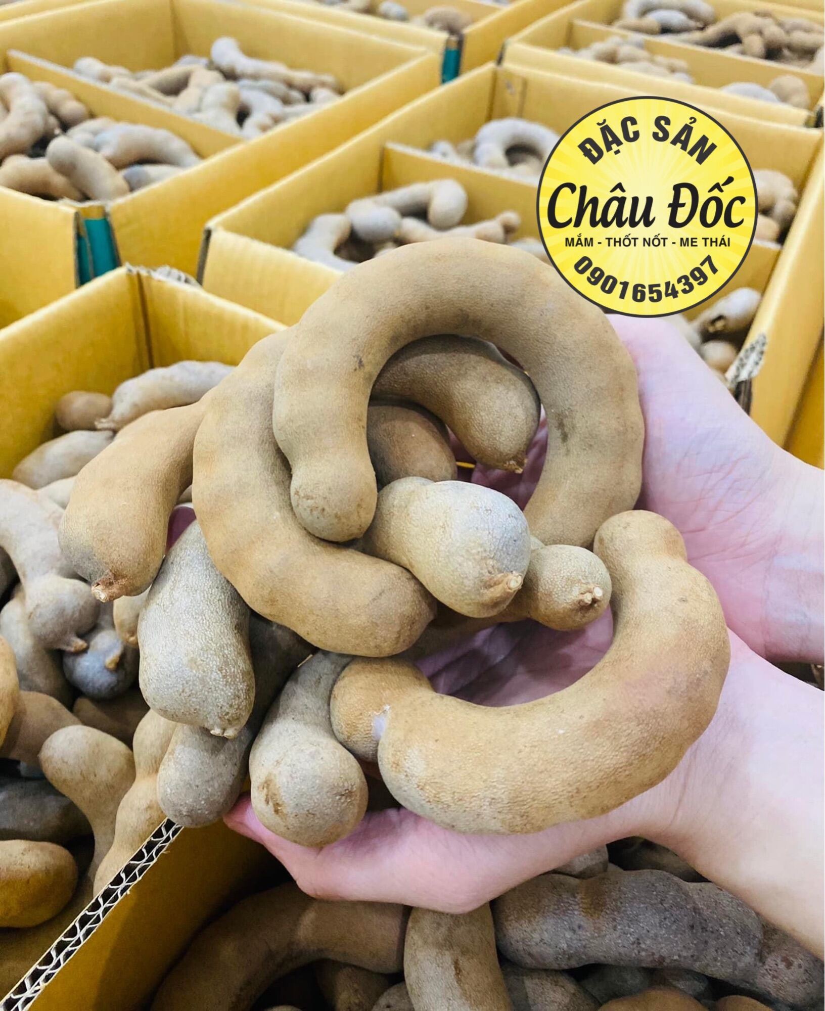 1kg Trái Me Thái Ngọt Loại 1 ( Quả To Như Hình )