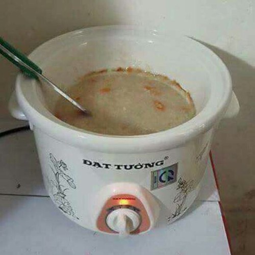 Nồi kho cá , nấu cháo,  nồi hầm chậm Đạt Tường 2.5l