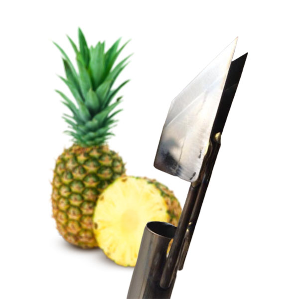Dụng Cụ Lấy Mắt Dứa/Thơm/Khóm Siêu Tốc Bằng Inox
