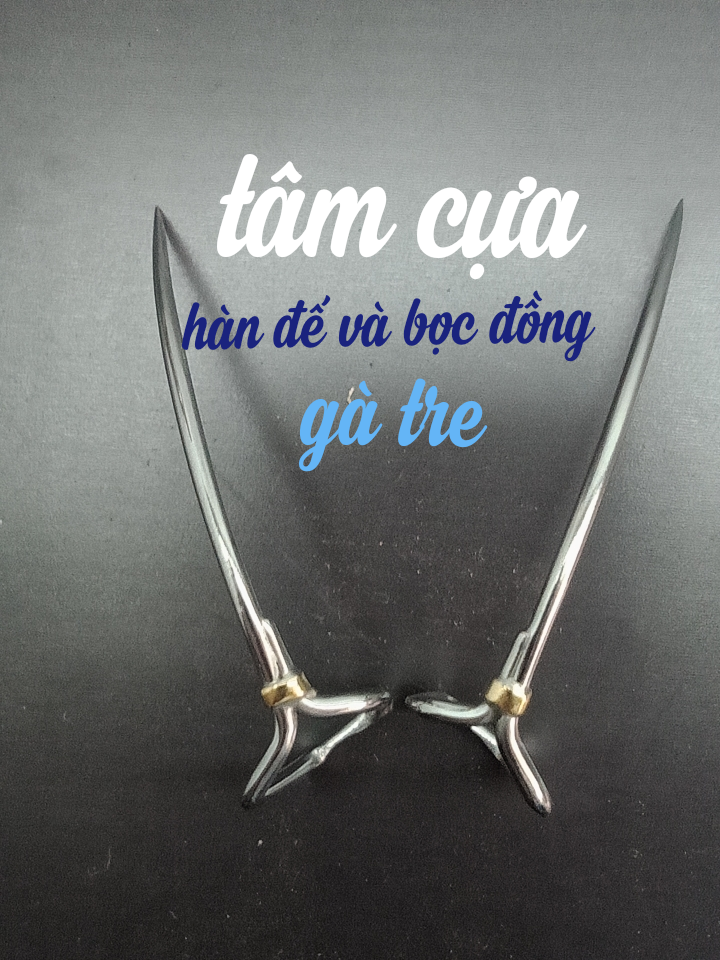 [HCM]cựa gà tre 46 thép mỹ(lai máu)thông mànhbọc đông và hàn đếTâm cựa