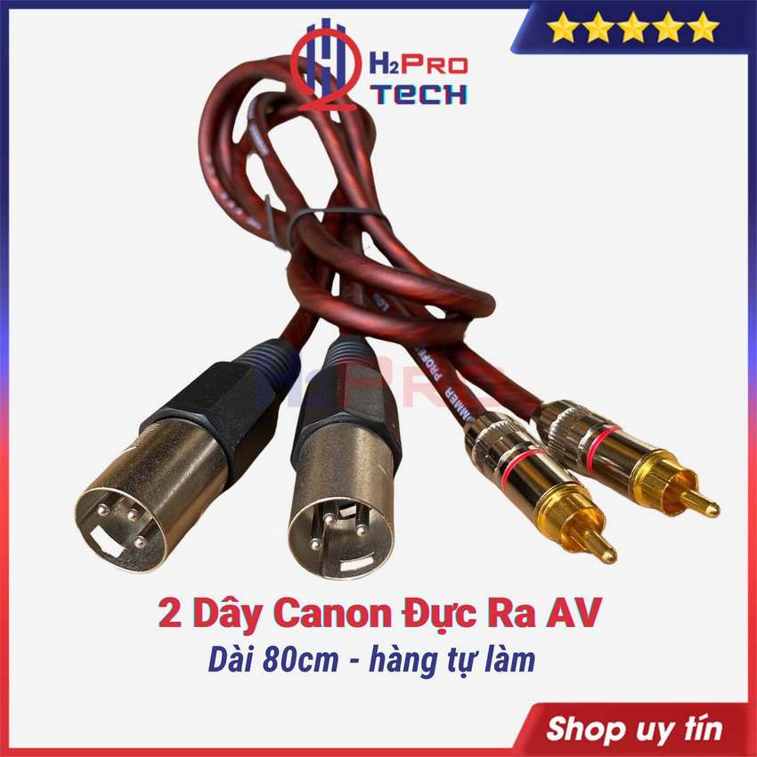  2 Dây Canon Đực Ra Av Hoa Sen Cao Cấp Dài 80Cm Chống Sôi-Nhiễu 2 Sợi Canon Đực Ra Hoa Sen Tự Làm-H2Pro Tech 