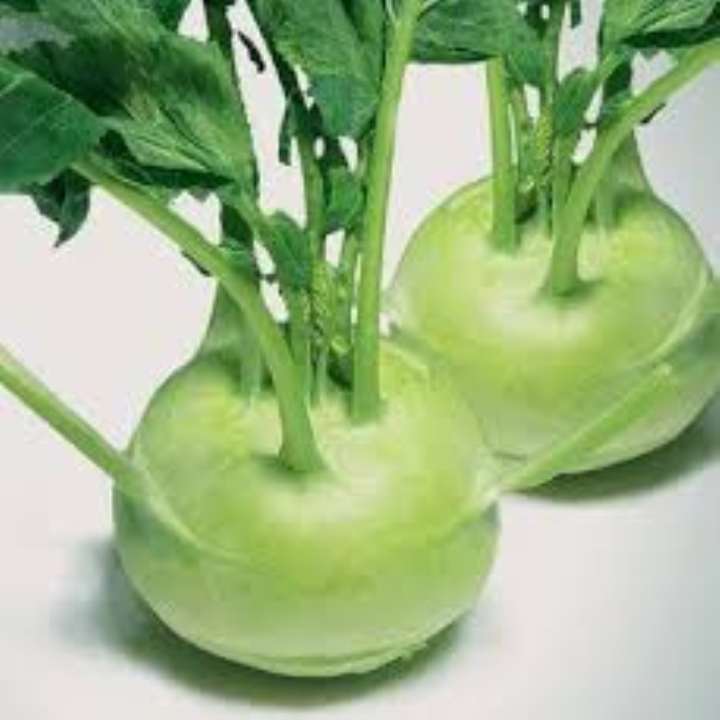 hạt giống củ su hào xanh gói 100 hạt  mua từ 50k tặng 2 sản phẩm