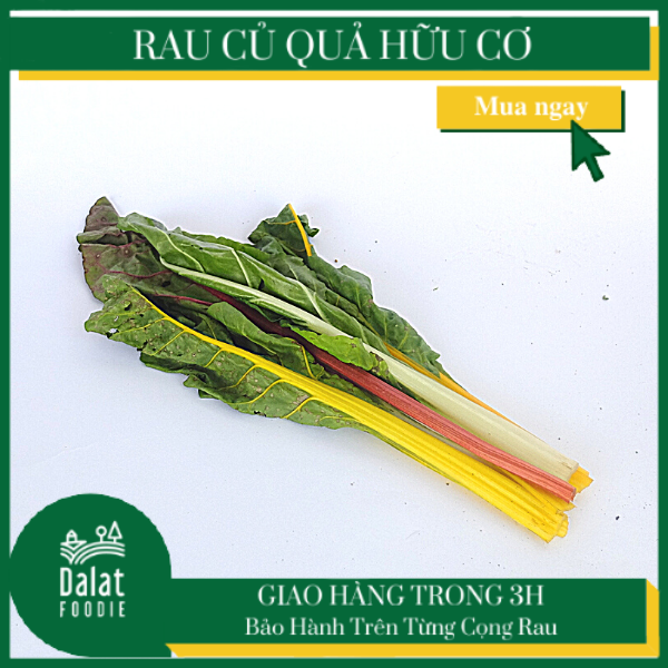 Cải Cầu Vồng 250G - [Giao hàng ngay tại TPHCM]