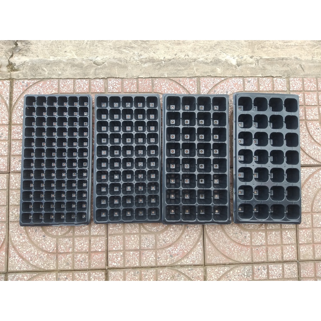 Khay ươm, vỉ ươm hạt giống 28 lỗ, 32 lỗ, 50 lỗ, 72 lỗ, 105 lỗ, 128 lỗ, 200 lỗ