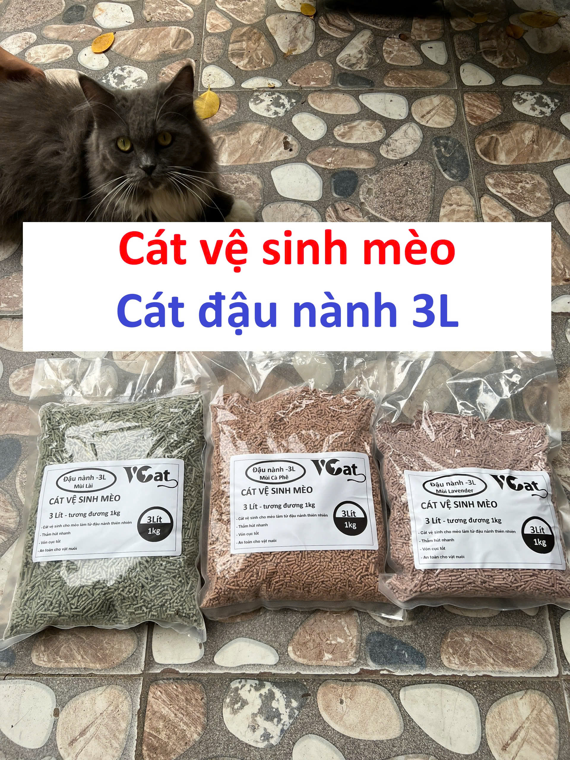 Cát vệ sinh mèo Tofu Hàn quốc cát đậu phụ cát đậu nành