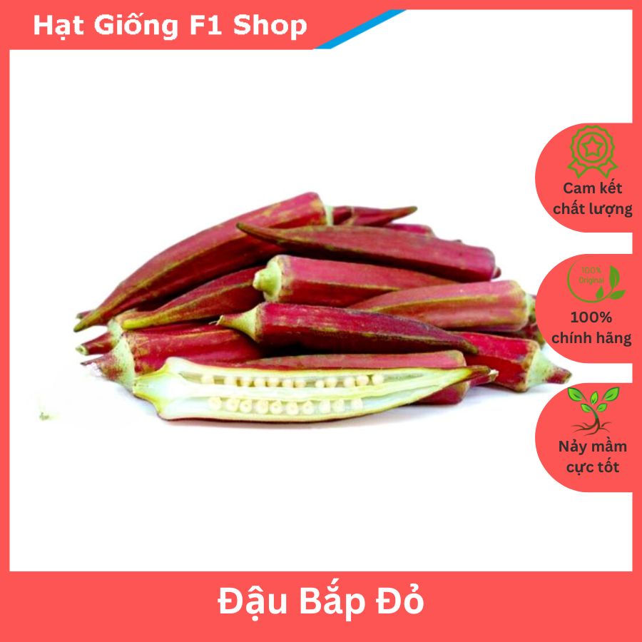 Hạt Giống Đậu Bắp Đỏ Sai Trái