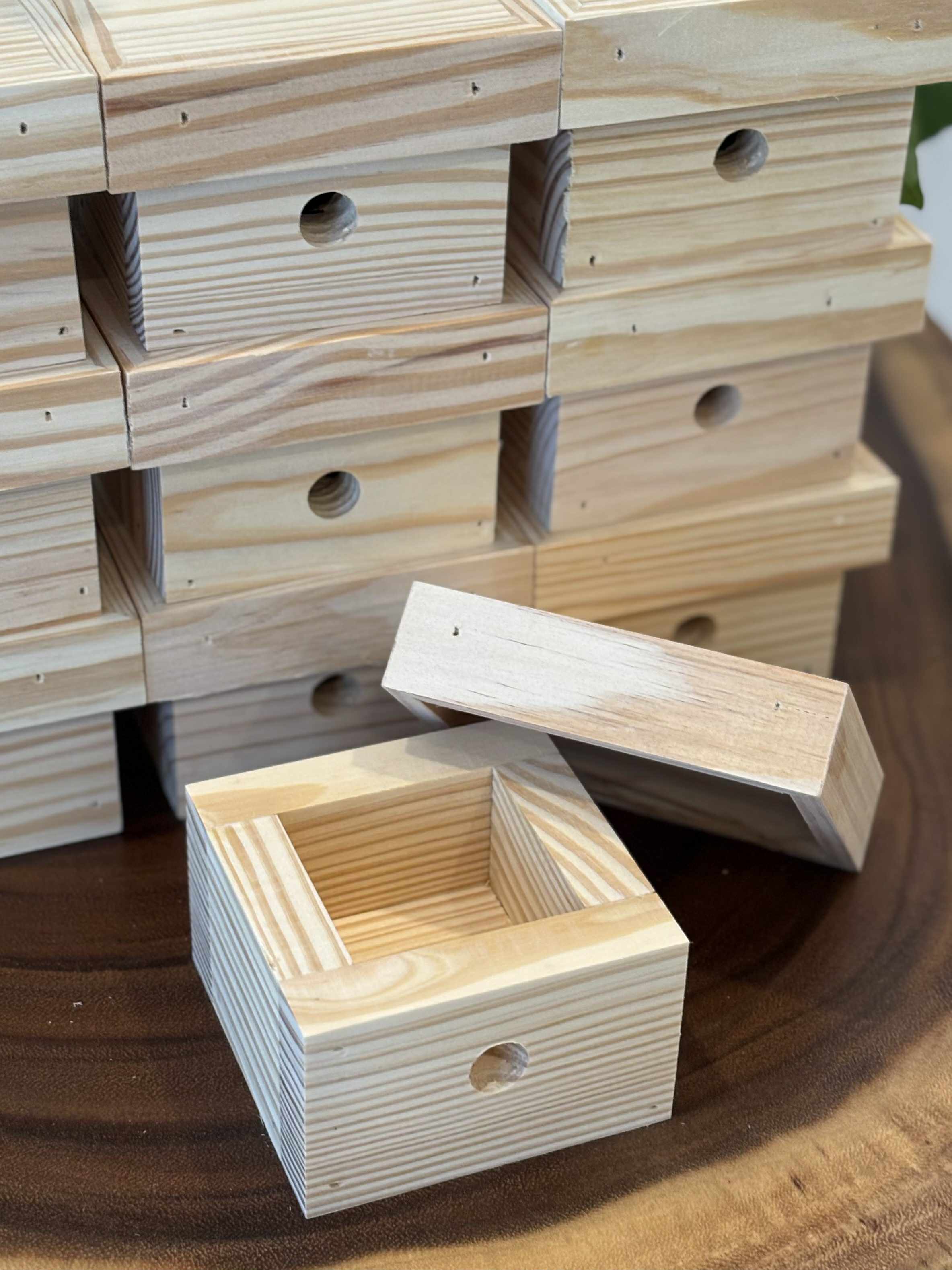 Beekeeping Boxes, Beekeeping Boxes for Wasps and Queen Bees - American Pine Wood with a Thickness of 2Cm-2.15Cm