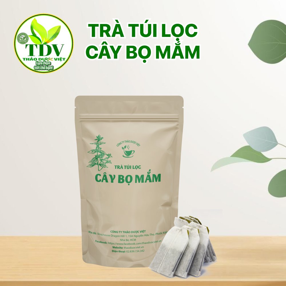 Combo 50 gói Trà Túi lọc Cây Thuốc Dòi (Cây bọ mắm) Loại Tím sấy khô  giúp Thanh Nhiệt, Trừ Ho, Giảm Đau Họng