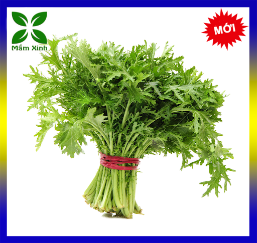 Hạt giống rau tần ô, hạt giống cải cúc nếp gói 20gr